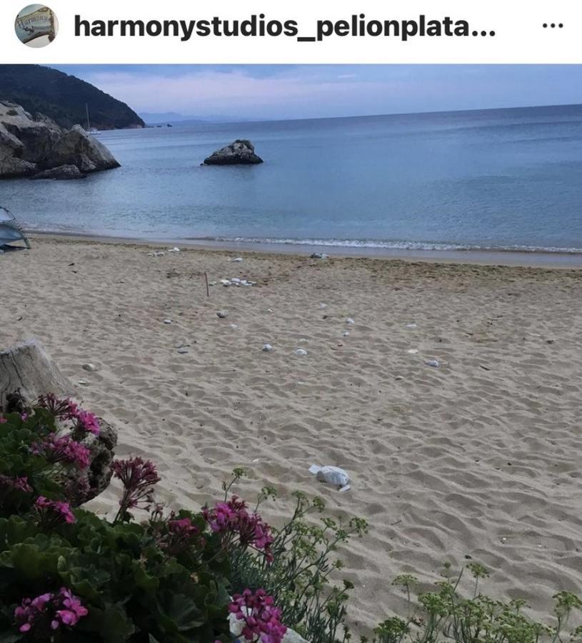 Appartamento Harmony Seaside Pelion Platanias  Esterno foto