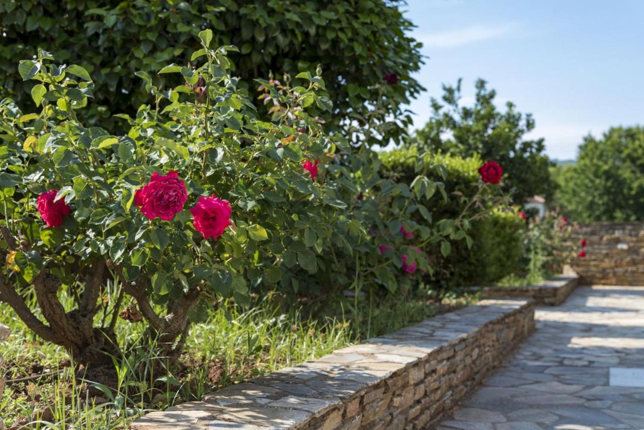 Appartamento Harmony Seaside Pelion Platanias  Esterno foto